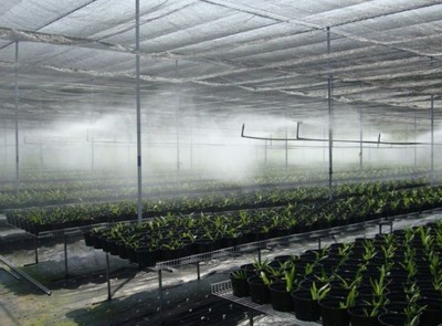 ���̰���